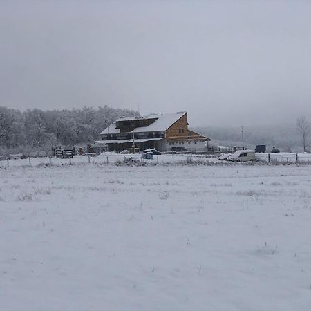 Marada Felix Hotel Hidişelul-de Sus Exterior foto